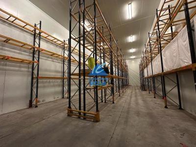 Nave industrial con cámaras de congelación